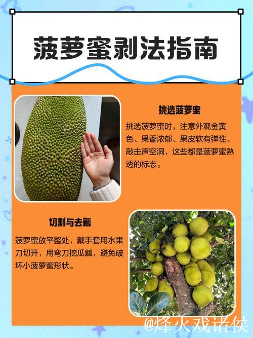 怎么剥菠萝蜜视频